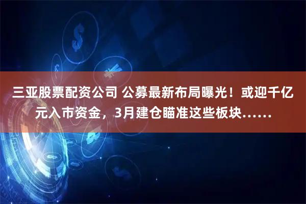 三亚股票配资公司 公募最新布局曝光！或迎千亿元入市资金，3月建仓瞄准这些板块……