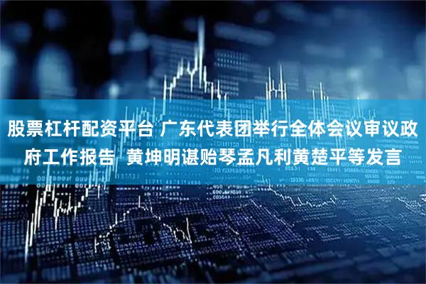 股票杠杆配资平台 广东代表团举行全体会议审议政府工作报告  黄坤明谌贻琴孟凡利黄楚平等发言