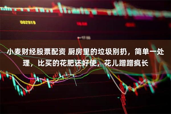 小麦财经股票配资 厨房里的垃圾别扔，简单一处理，比买的花肥还好使，花儿蹭蹭疯长